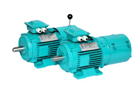 A.C Brake Motors-3