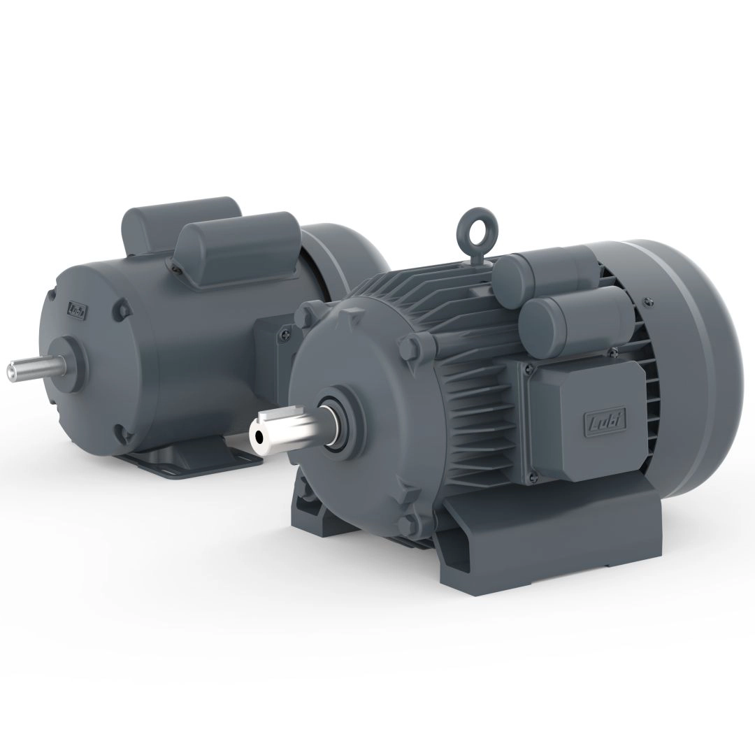 Energy-efficient Cast Iron Single Phase Induction Motors (MMS Series)