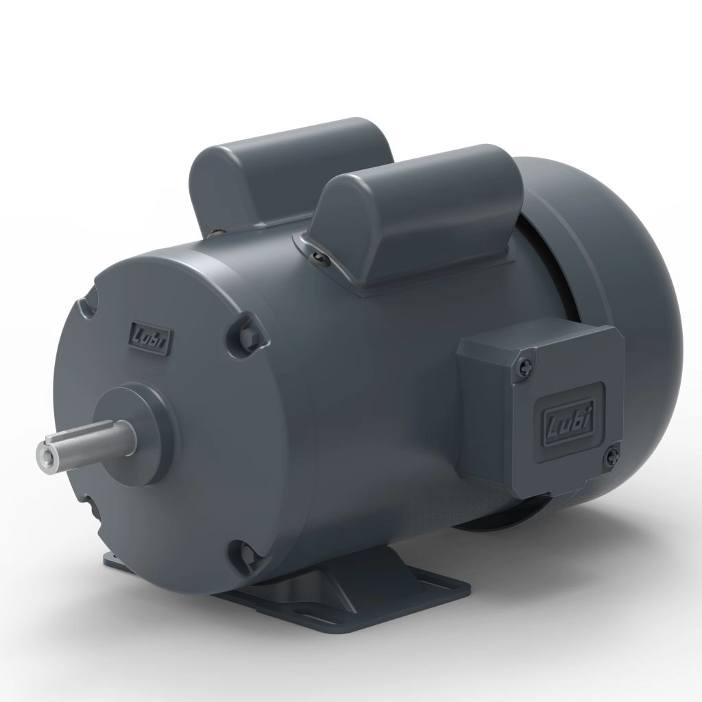 Lubi_Single_Phase_Motors_-_1