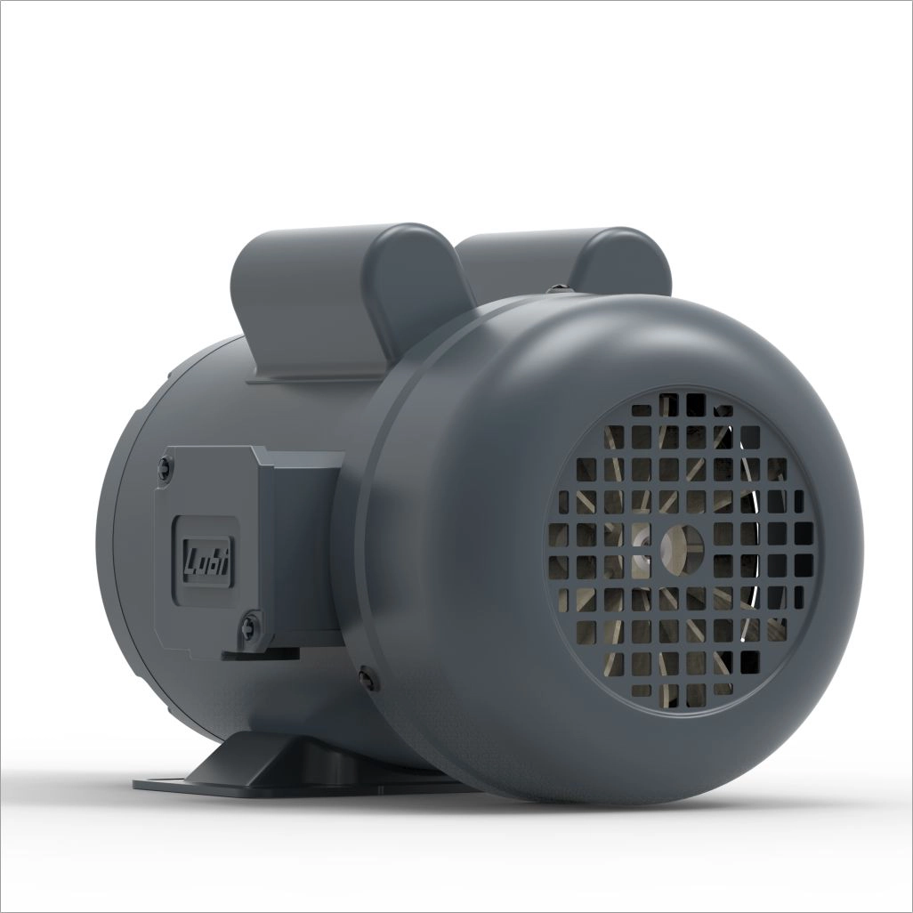 Lubi_Single_Phase_Motors_-_2