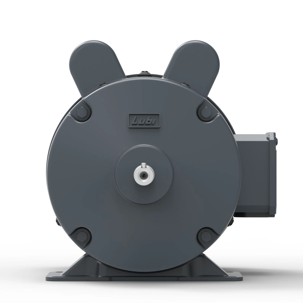 Lubi_Single_Phase_Motors_-_3
