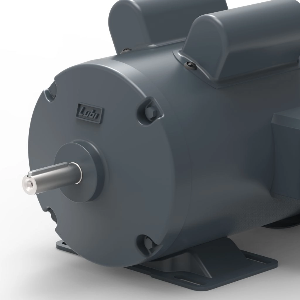 Lubi_Single_Phase_Motors_-_4