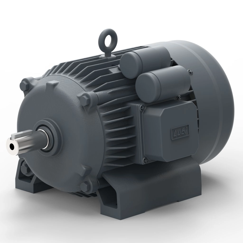 Lubi_Single_Phase_Motors_-_6