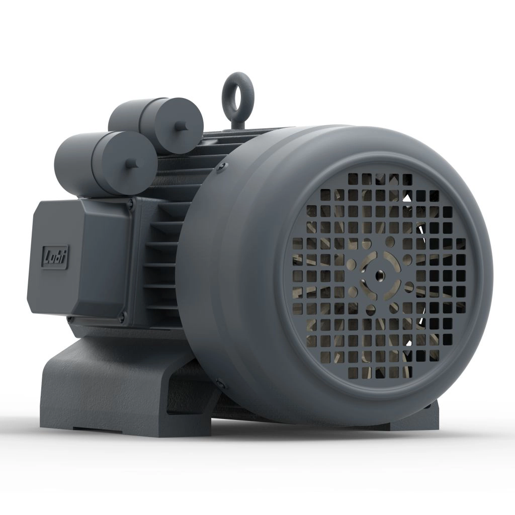 Lubi_Single_Phase_Motors_-_7