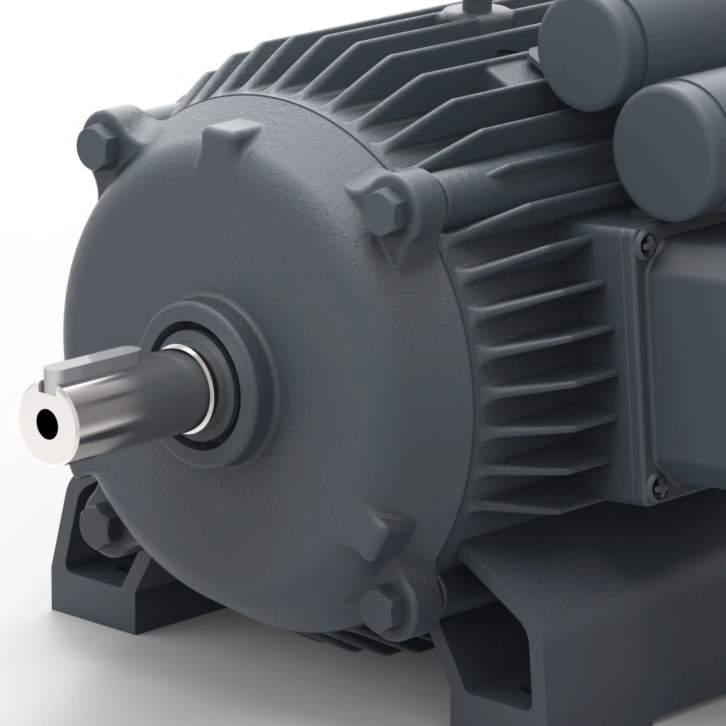 Lubi_Single_Phase_Motors_-_9