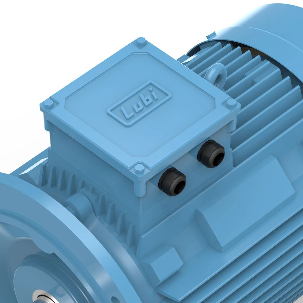 Lubi_Three_Phase_Induction_Motor_-_10