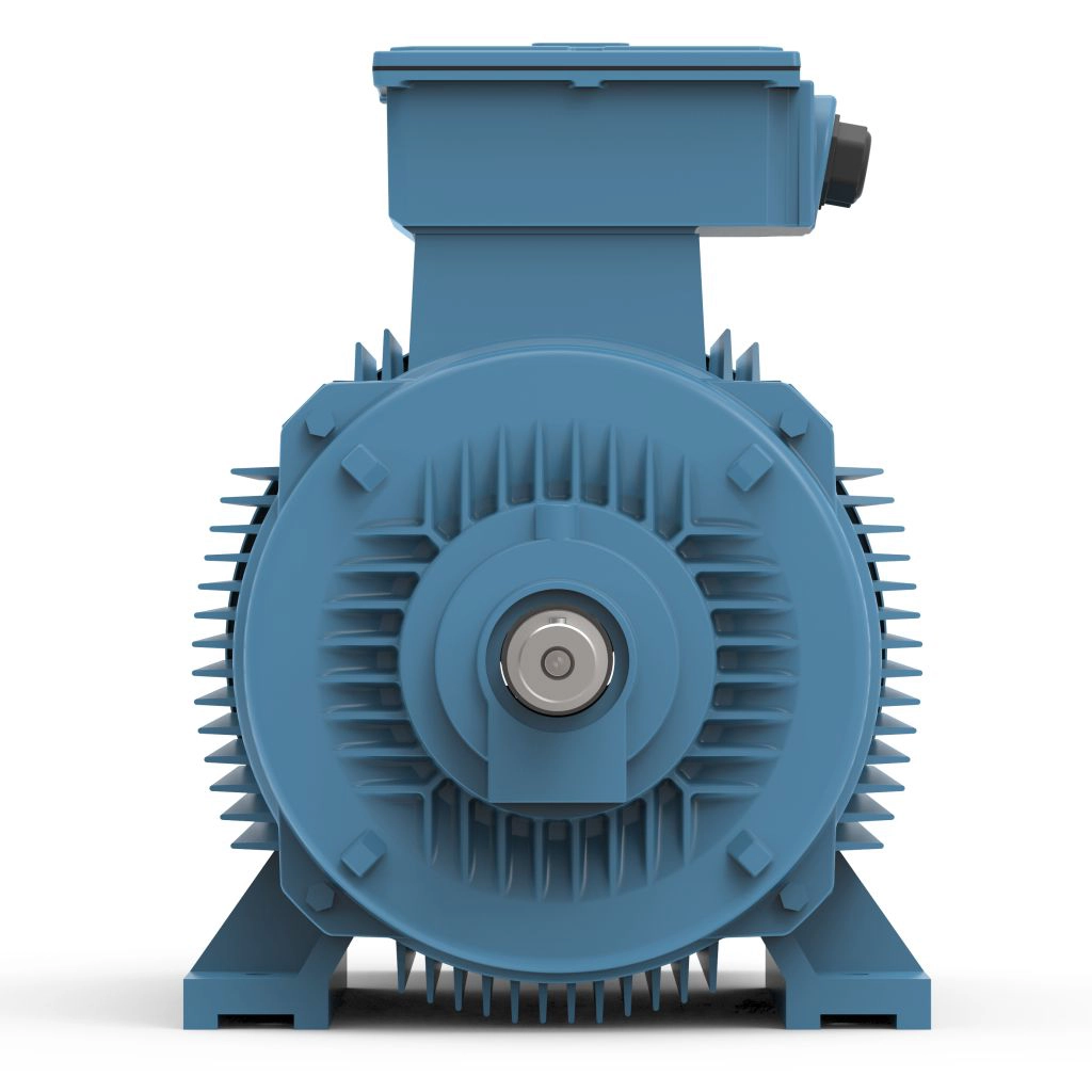 Lubi_Three_Phase_Induction_Motor_-_2