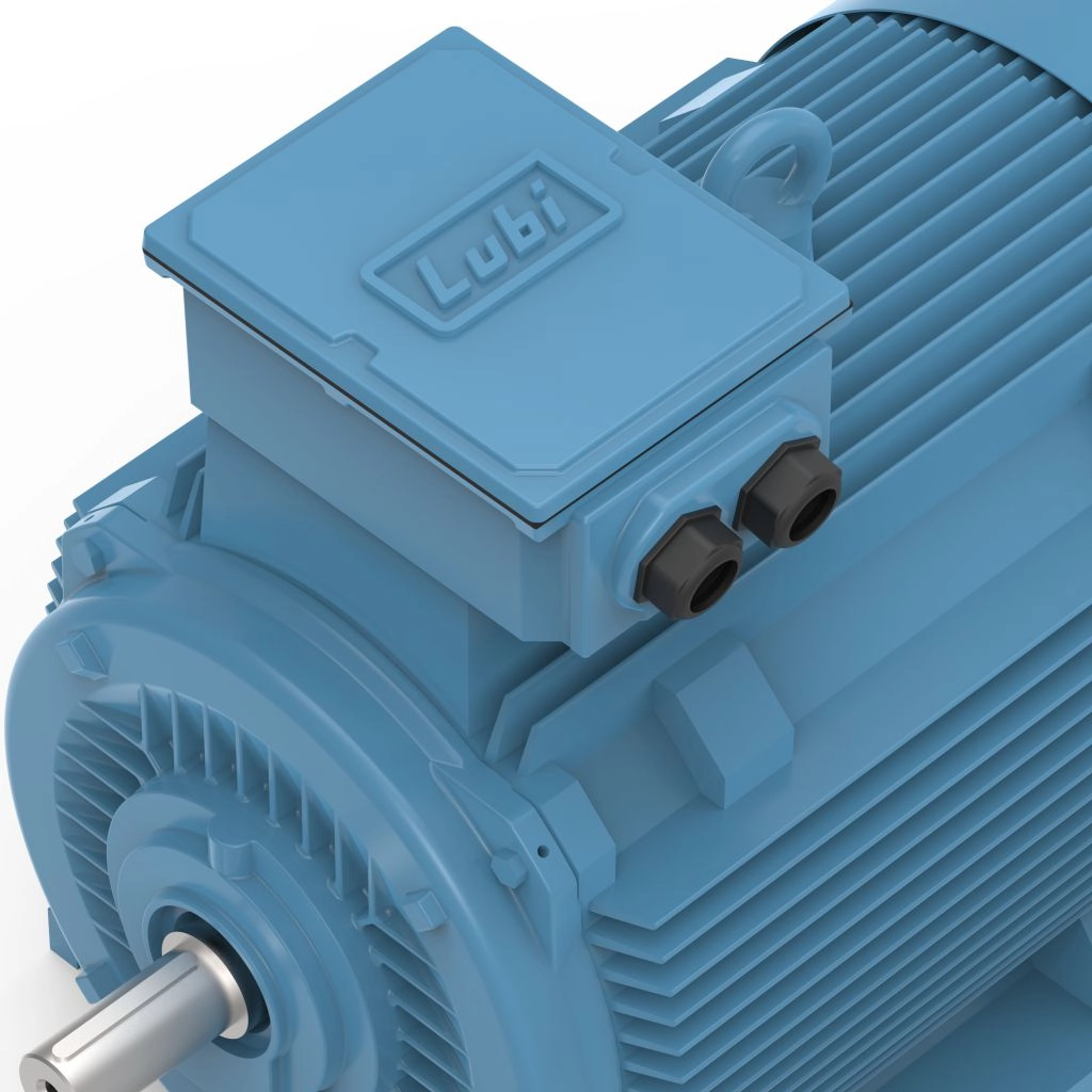 Lubi_Three_Phase_Induction_Motor_-_4